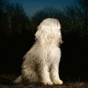 Juana Molina, 'Doga'