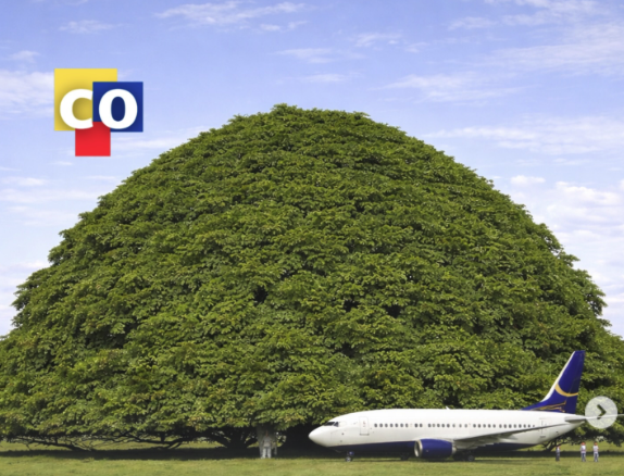 Colombia tiene el árbol más ancho del mundo